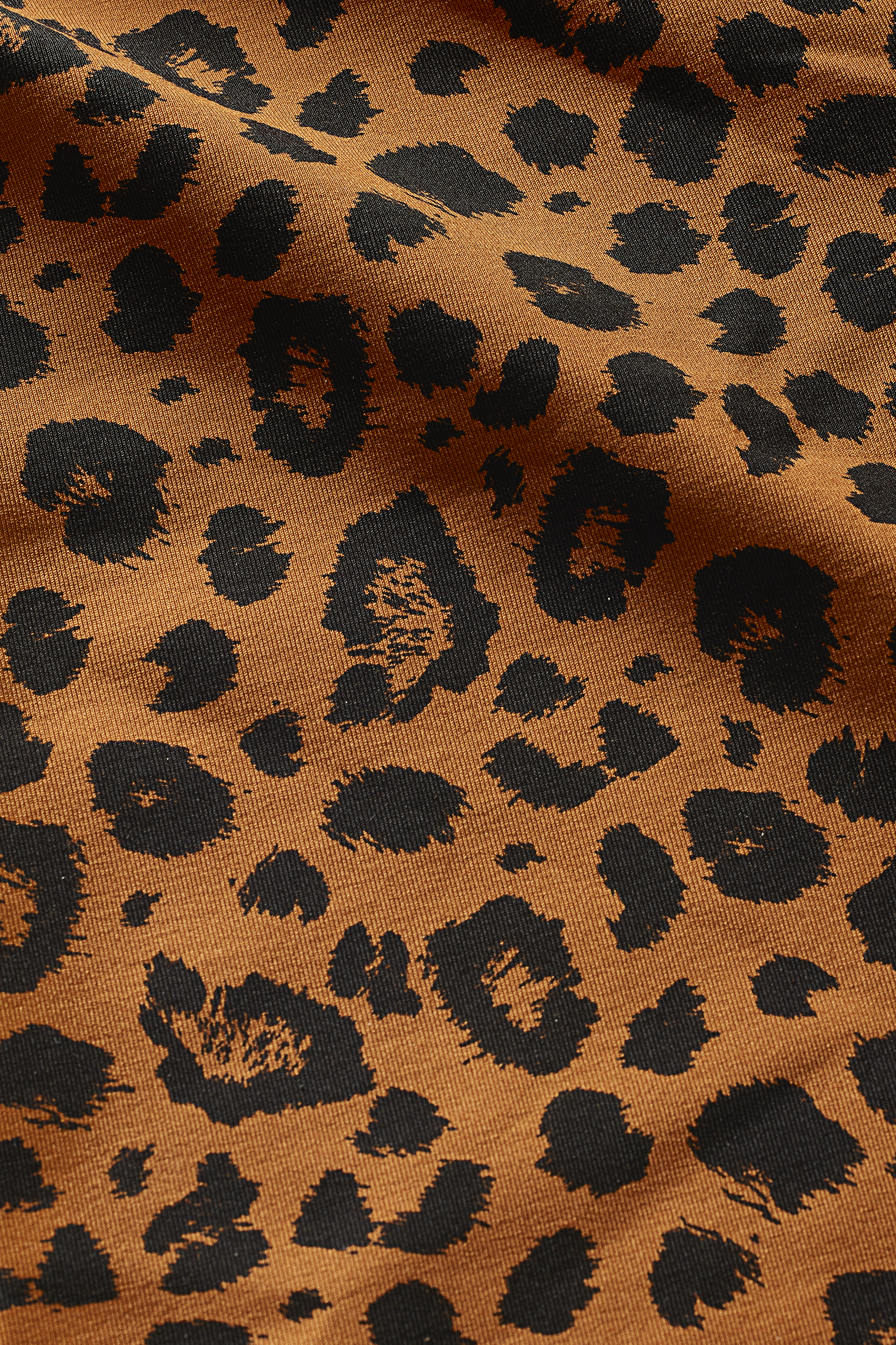 Leo Ginger Set | Hey Honey Yoga & Active Wear