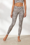Leo Clay Set | Hey Honey & Active Wear