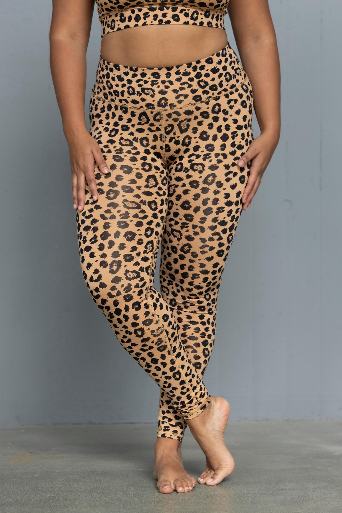 Leo Biscuit Set | Hey Honey & Active Wear